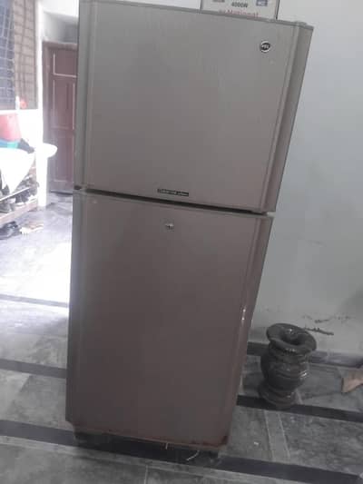 pel refrigerator for sale in E/14