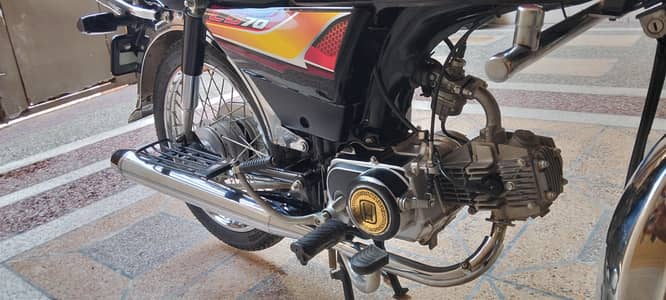 CD70 for sale
