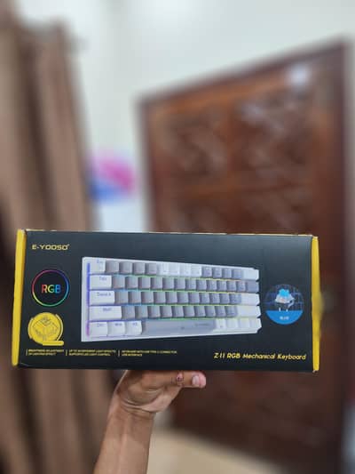 Z11 RGB MECHANICAL KEYBOARD(BLUE SWITCHES)