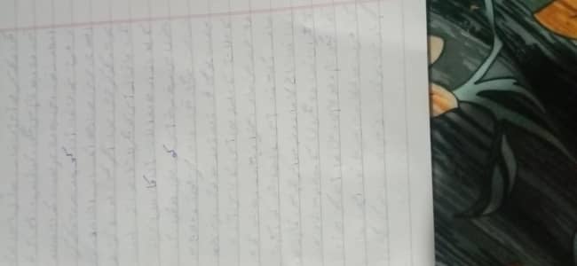 assignment