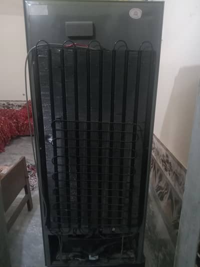 fridge hai dowlance medium size