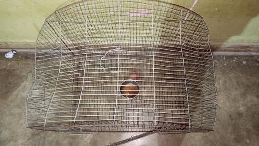 cage for sale