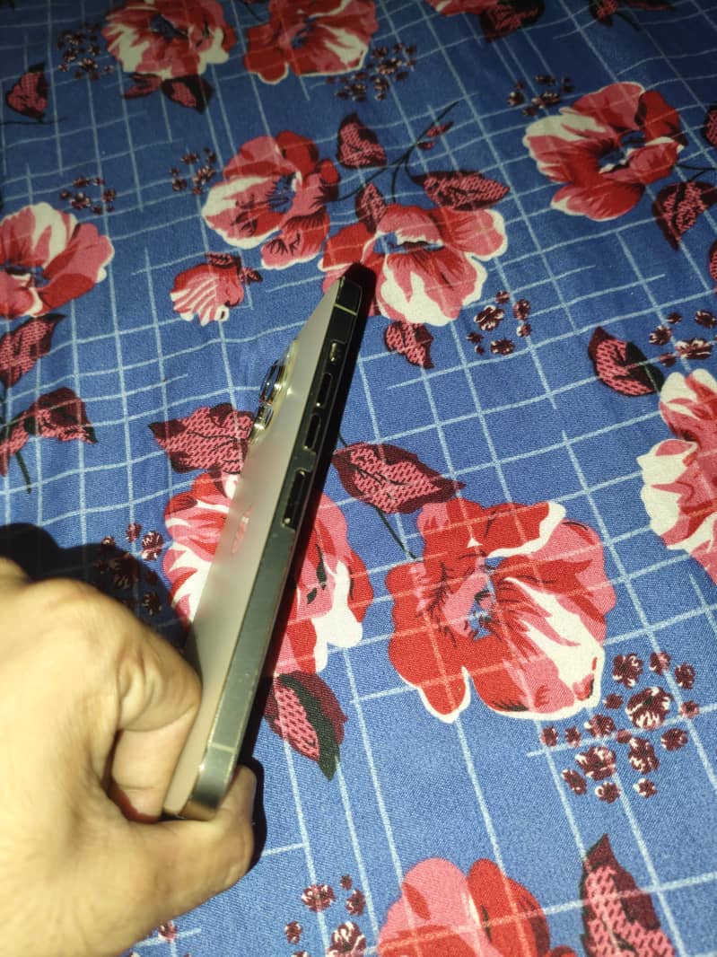 Apple iPhone 13 Pro Max 1