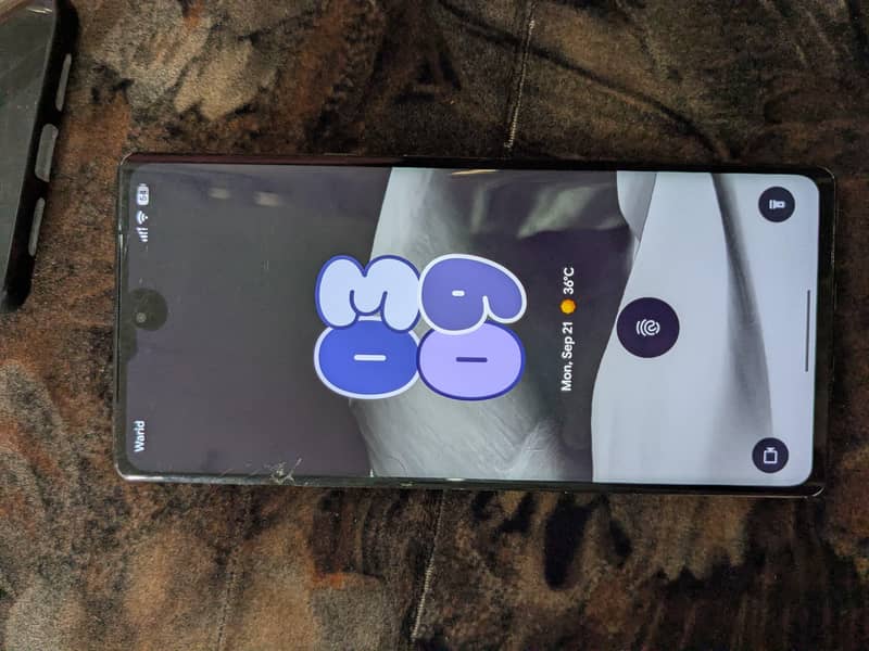 Google Pixel 6 Pro 3
