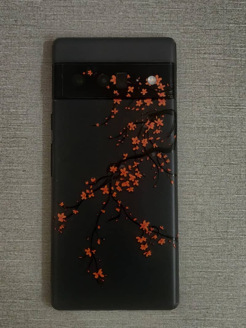 Google Pixel 6 Pro 1