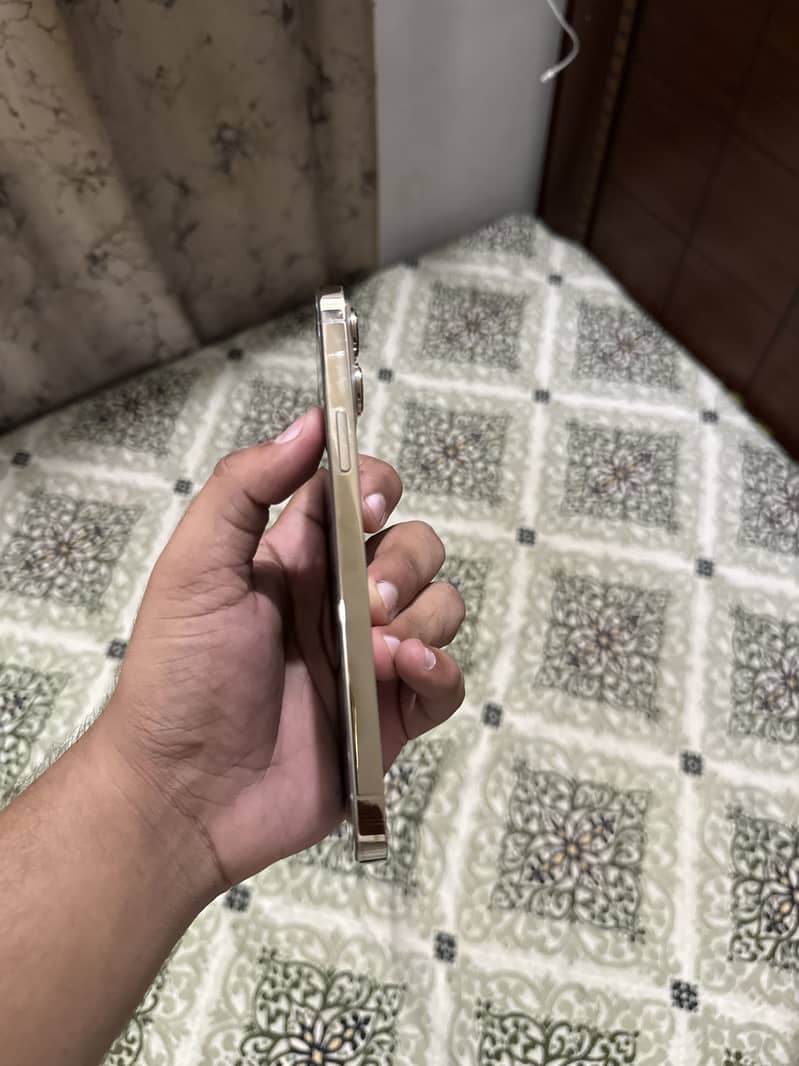 Iphone 13 pro max 1