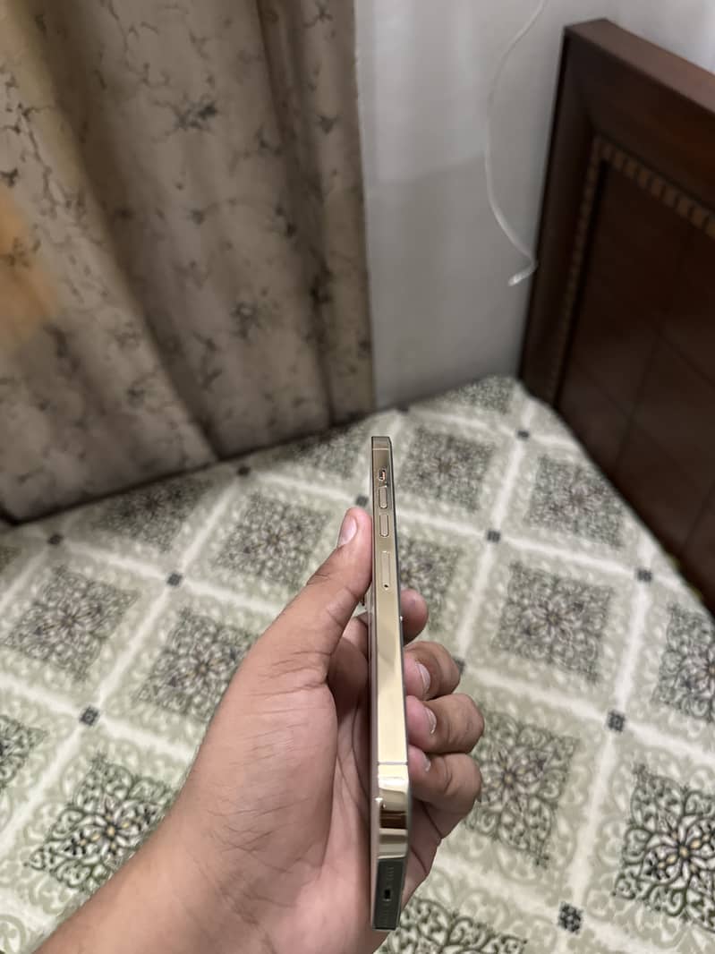 Iphone 13 pro max 4