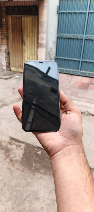 Apple iPhone 12 Pro Max