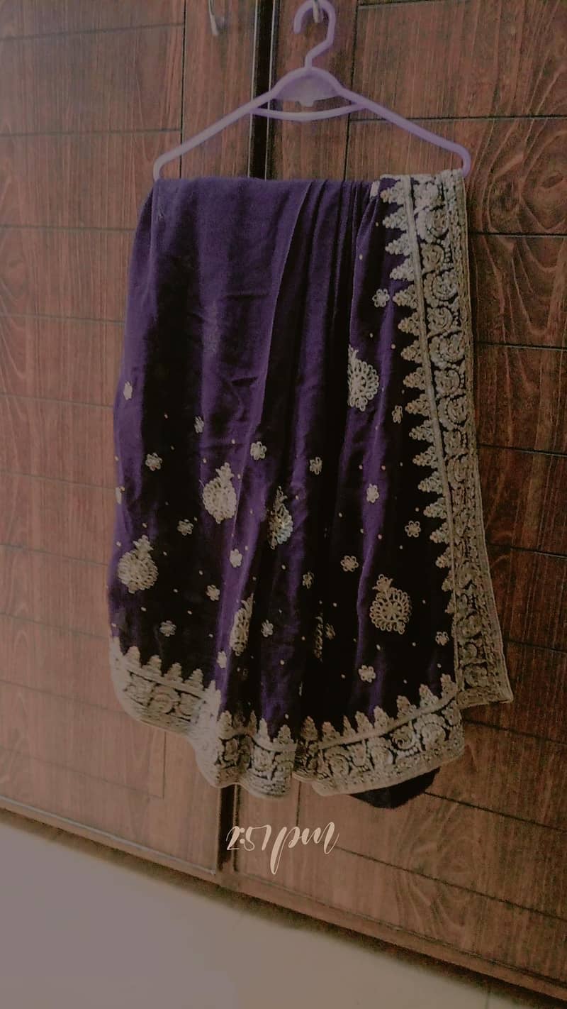saree 4