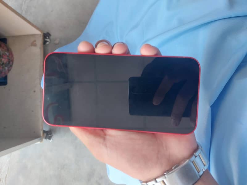 Apple iPhone 13 0