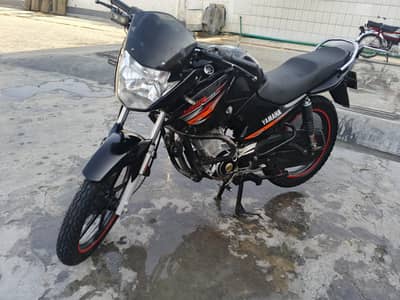 Yamaha YBR