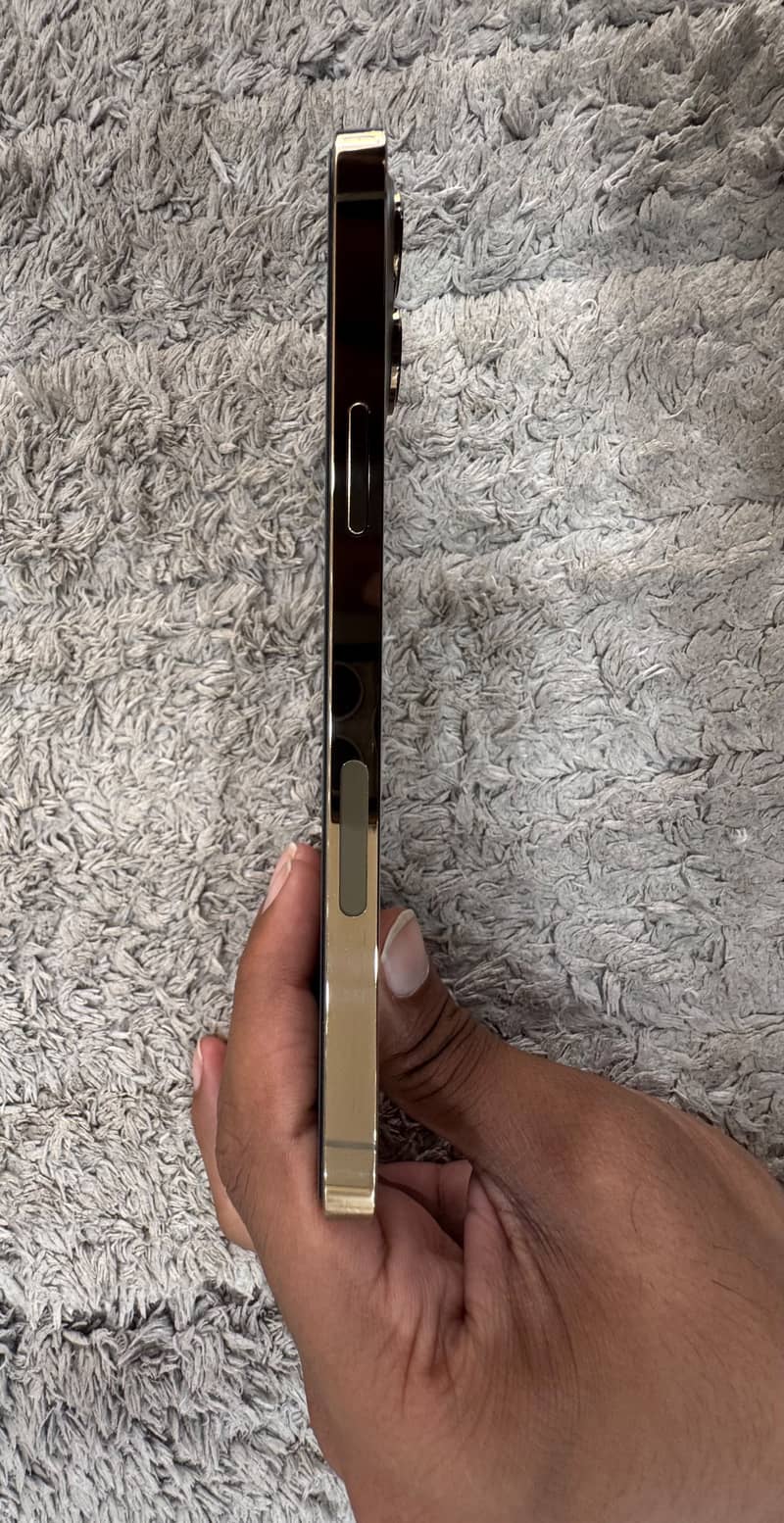 Apple iPhone 12 Pro Max 1