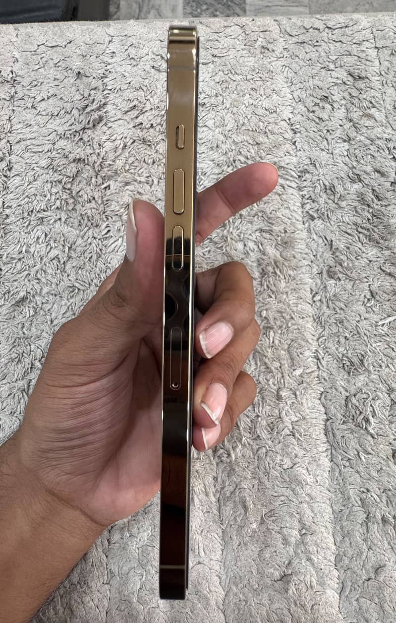 Apple iPhone 12 Pro Max 2