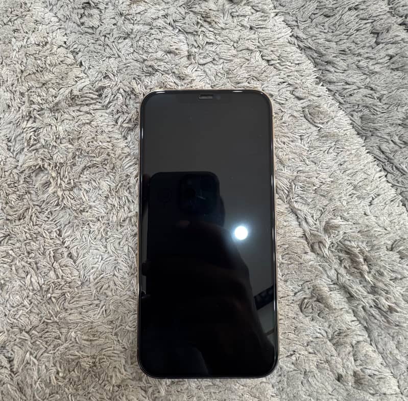 Apple iPhone 12 Pro Max 5