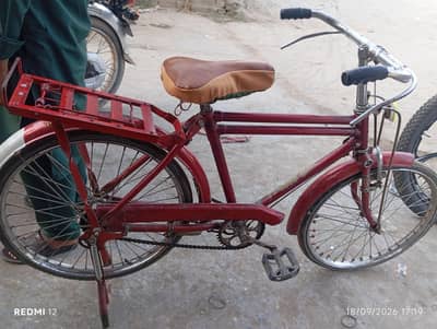 bachoo ki zubardast cycle