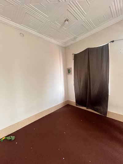 1 carpet 2 mate