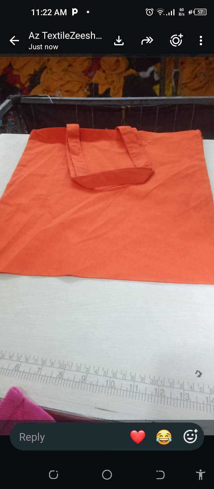 poly baig 1