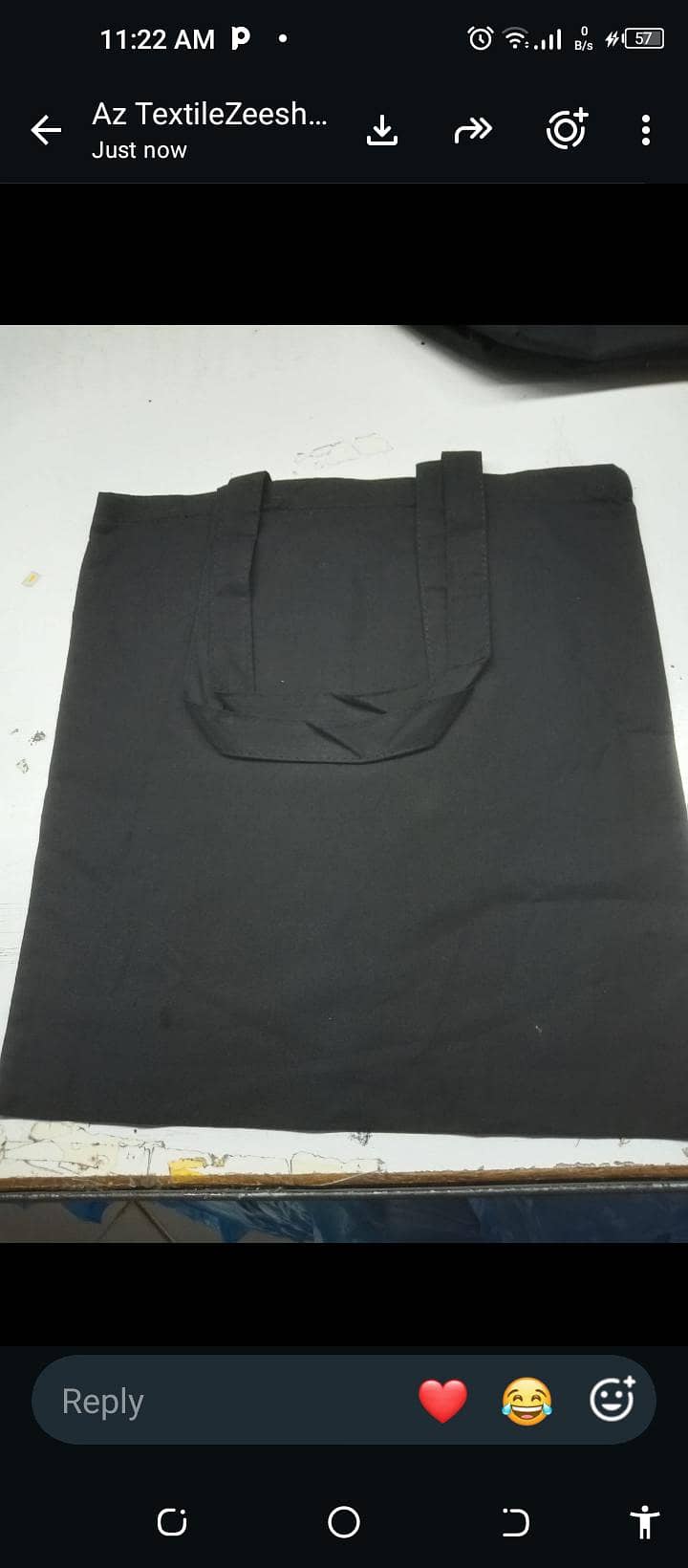 poly baig 4