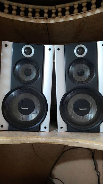 Panasonic speaker