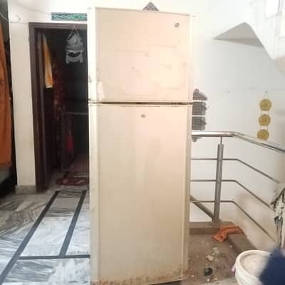 PEL Refrigerator Double Door for Sale