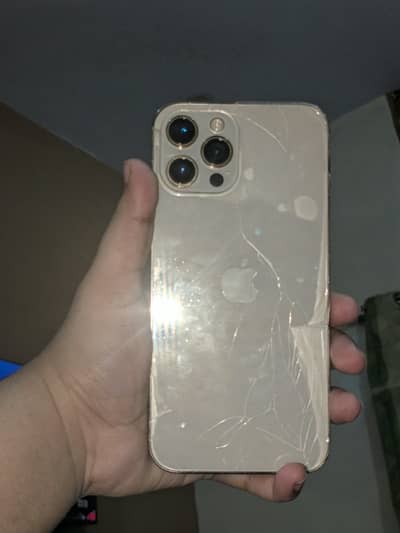 Apple iPhone 12 Pro Max