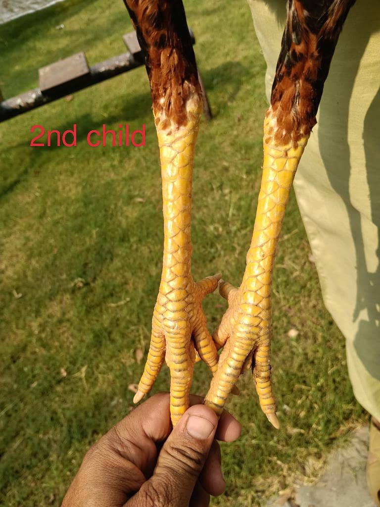 12345 7