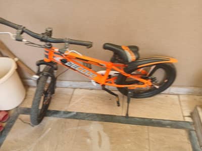 bicycle for kids