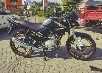 Yamaha YBR Black Edition with mustard Lines combination