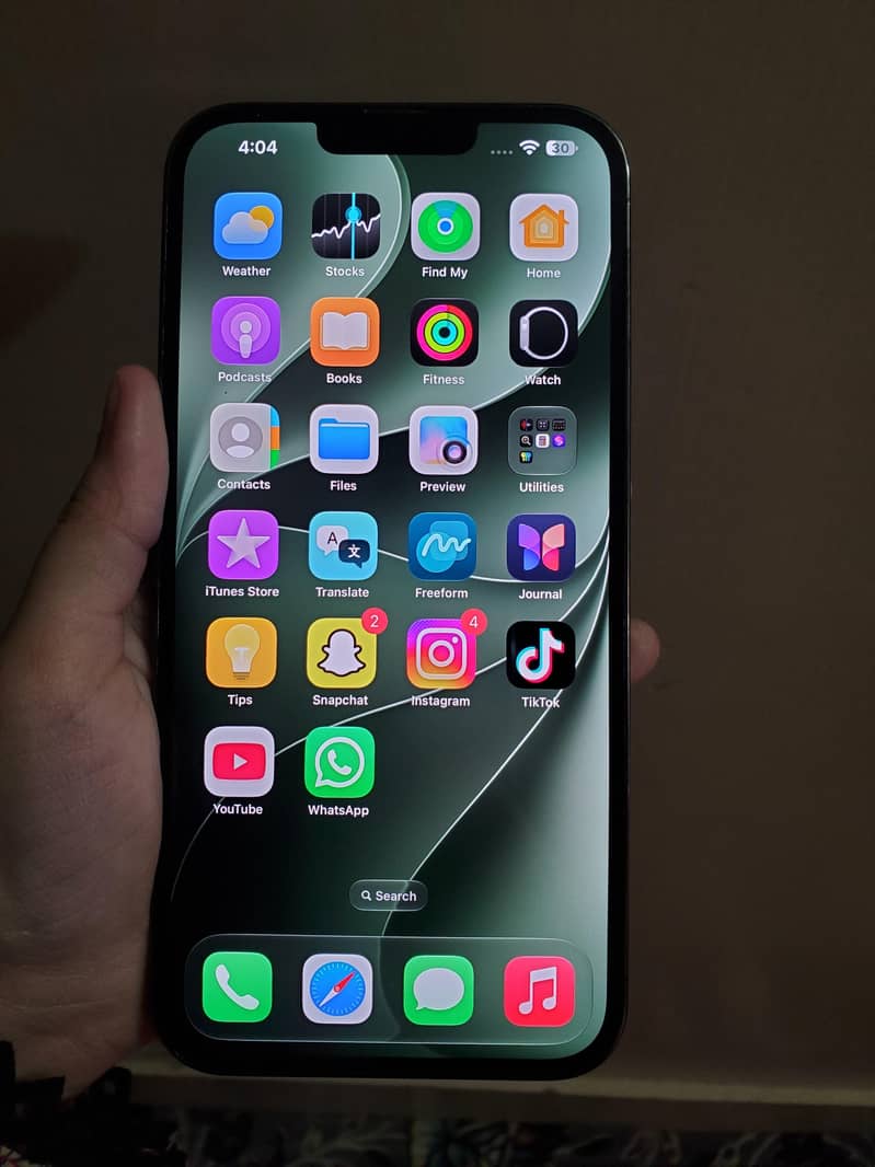 Apple iPhone 13 pro max 1