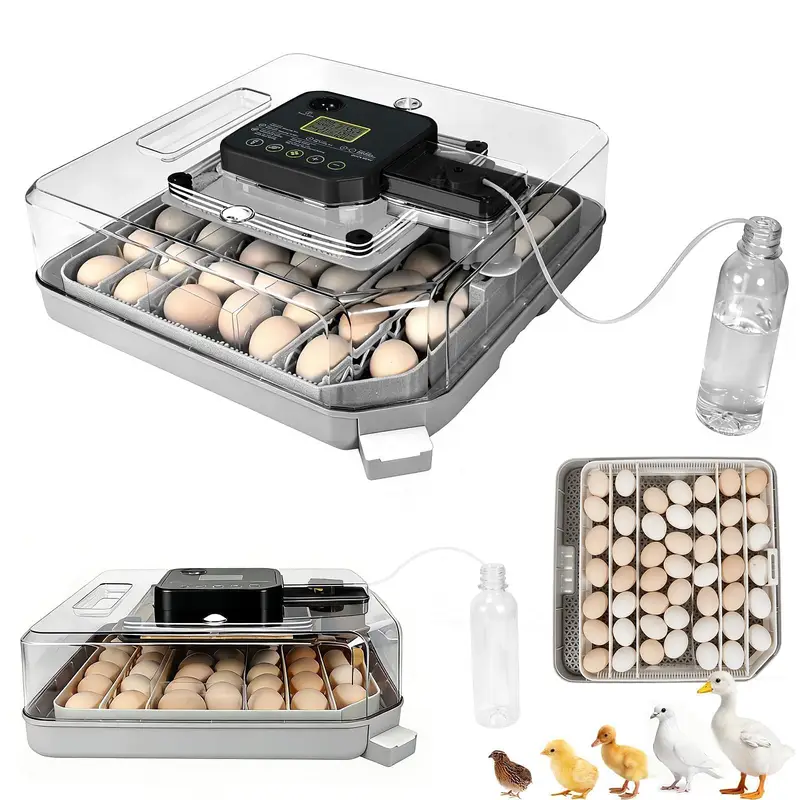 36 Egg Incubator Machine | Fully Automatic | Home & Farm Use — photo 3