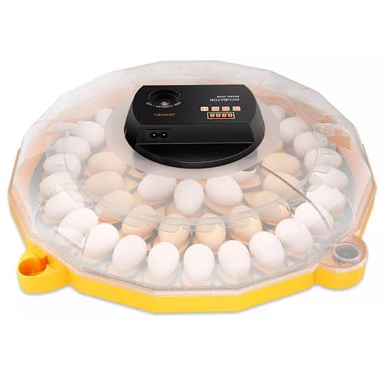 Fully Automatic Incubator | Egg Hatching Machine 3