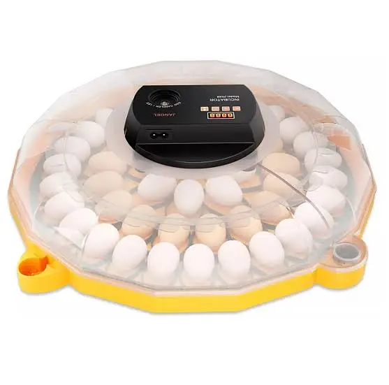36 Egg Incubator Machine | Fully Automatic | Home & Farm Use — photo 4