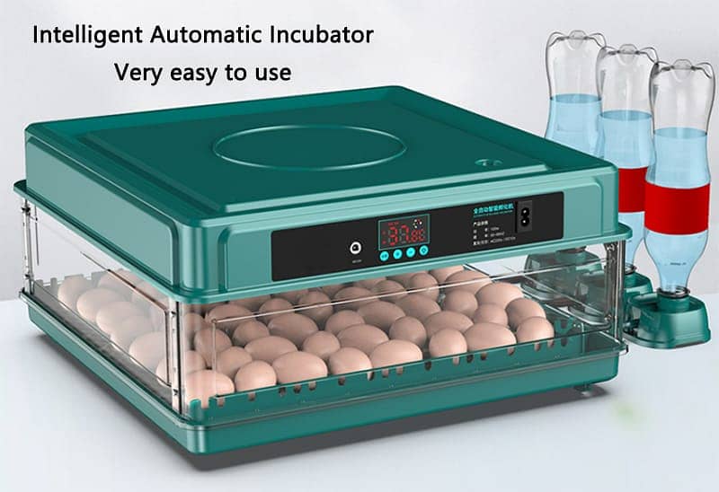 Fully Automatic Incubator | Egg Hatching Machine 4