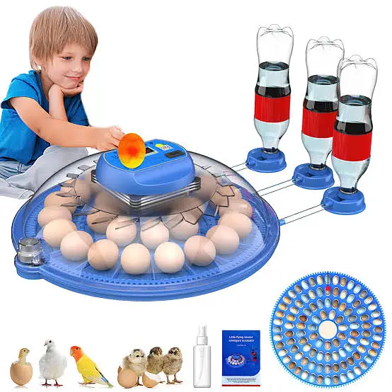36 Egg Incubator Machine | Fully Automatic | Home & Farm Use — photo 6