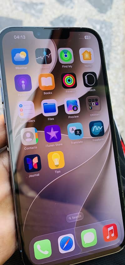 Apple iPhone 13 Pro Max
