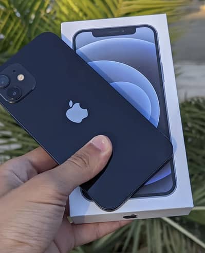 Apple iPhone 12