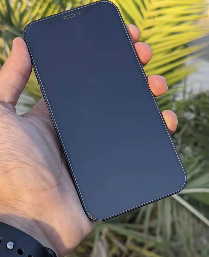 Apple iPhone 12 1