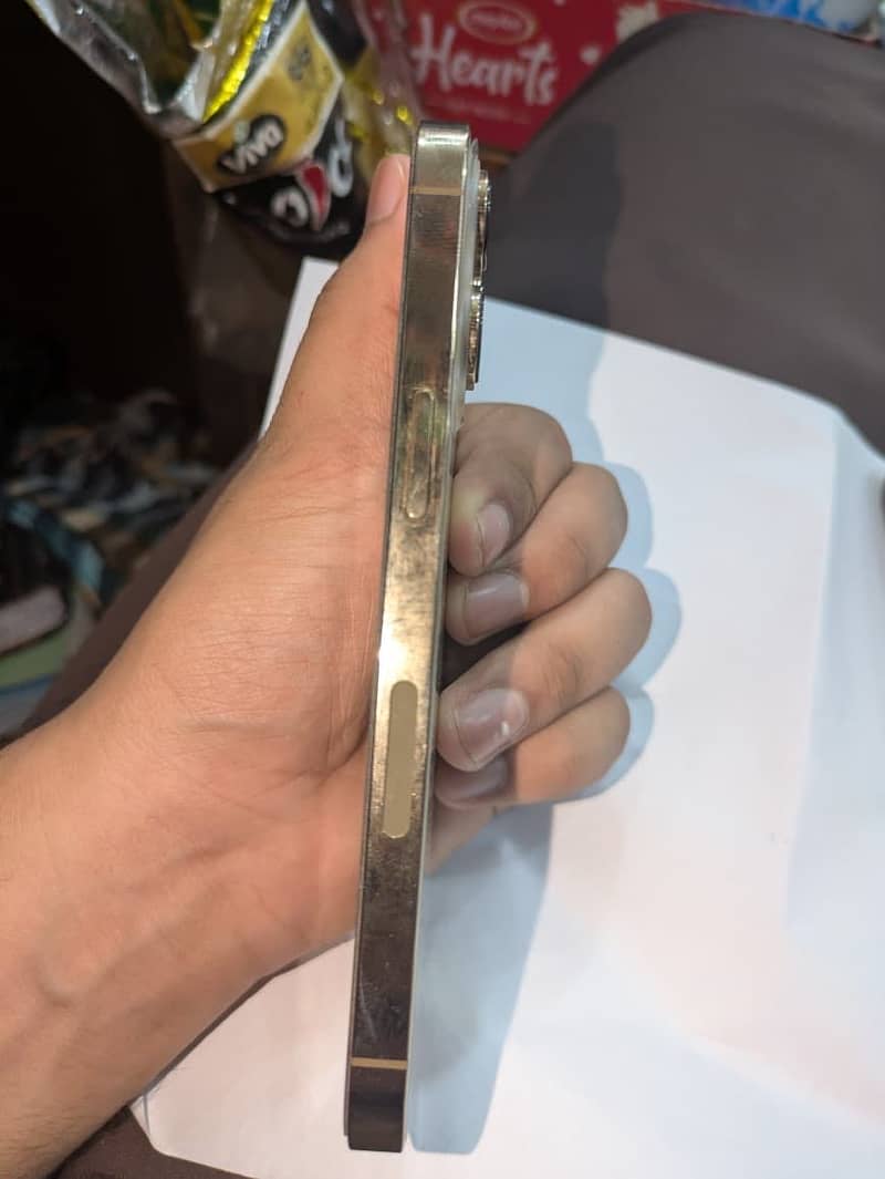 Apple iPhone 13 Pro 2