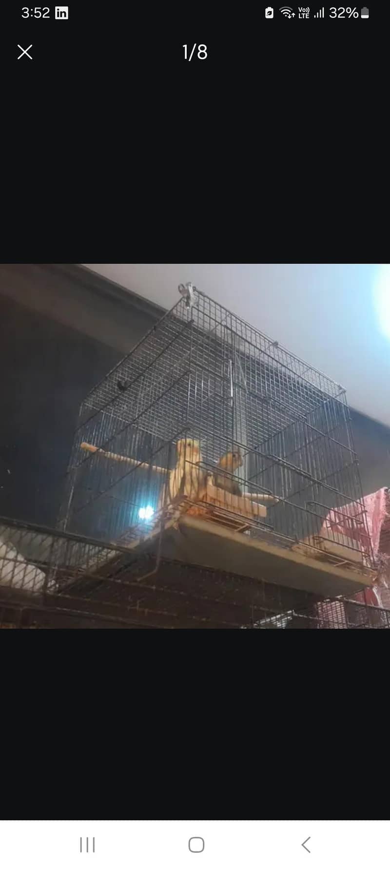 parrots cages 1