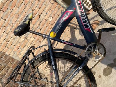 bicycles for sail