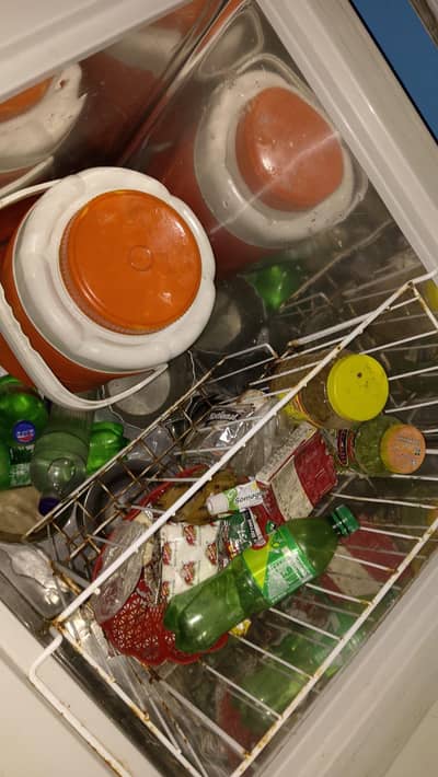 deep freezer Dawlance
