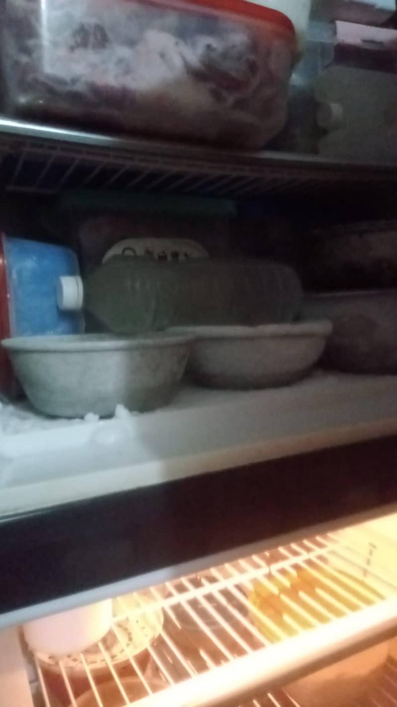 refrigerator 4