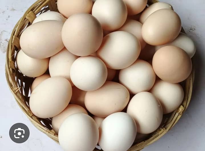 Desi eggs  2