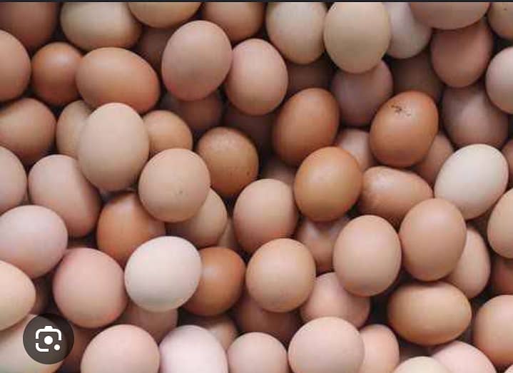 Desi eggs  3