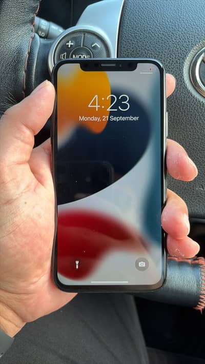 Apple iPhone X