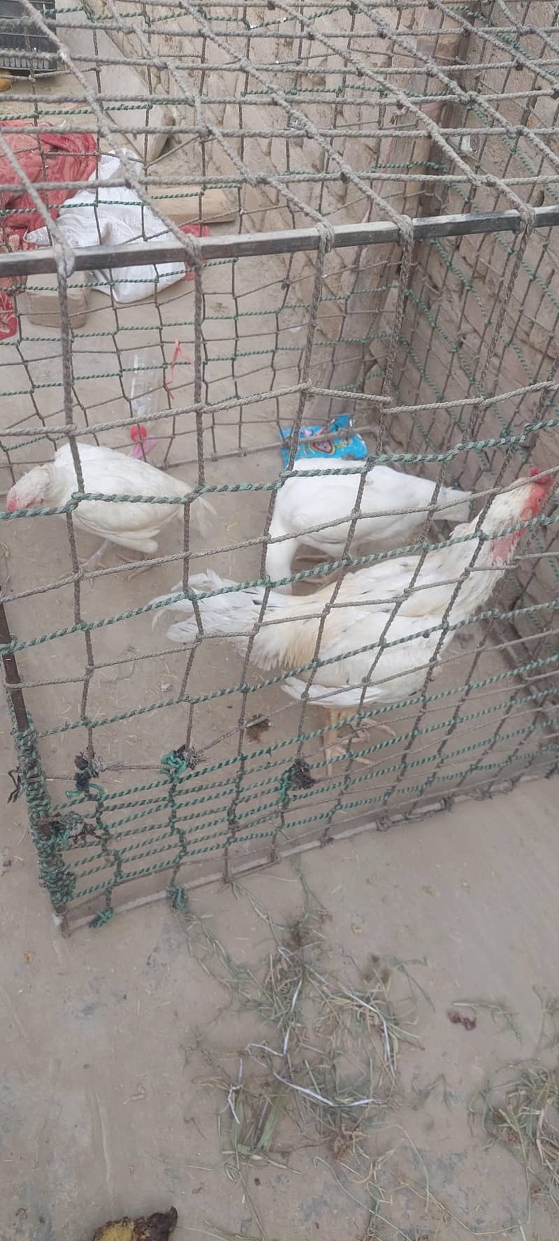 for sell 2