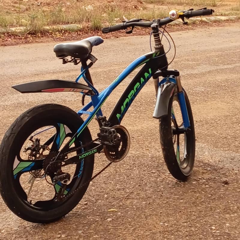 Morgan bicycle 7