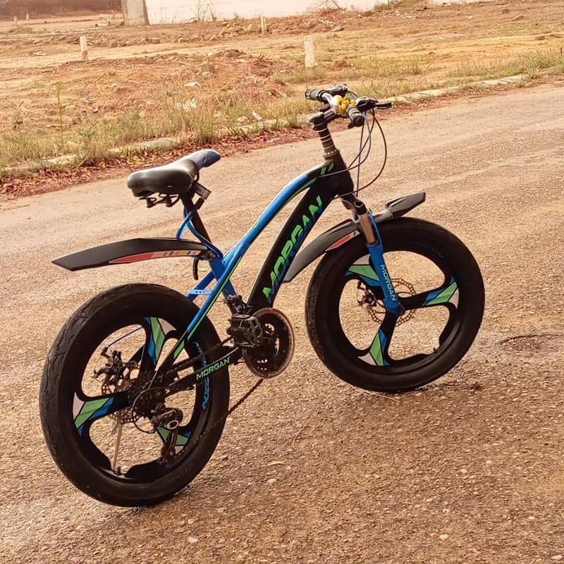 Morgan bicycle 8