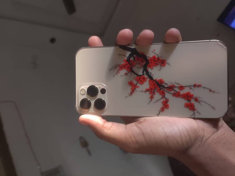 Apple iPhone 12 Pro 1
