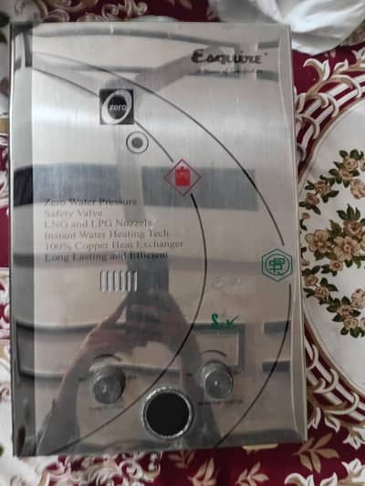 Esquire instant geyser